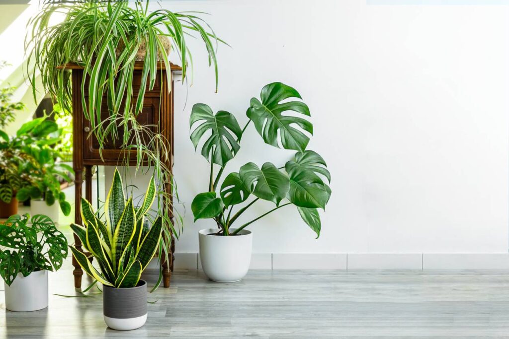 plantes artificielles réalistes