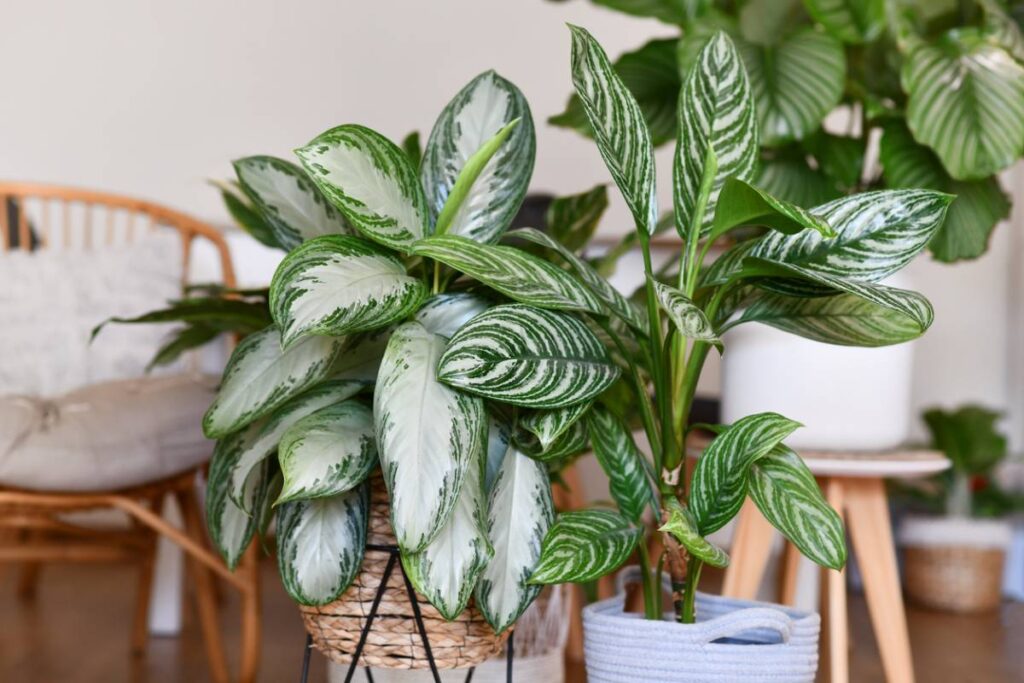 Plantes artificielles réalistes : votre guide complet pour un intérieur naturel